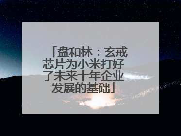 盘和林：玄戒芯片为小米打好了未来十年企业发展的基础