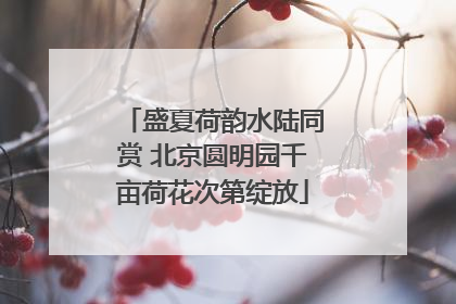 盛夏荷韵水陆同赏 北京圆明园千亩荷花次第绽放