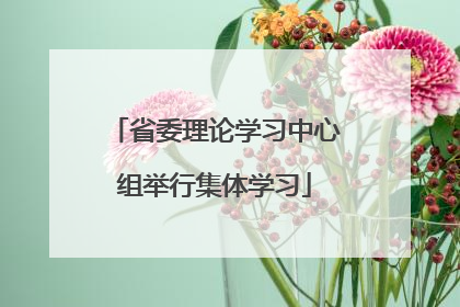 省委理论学习中心组举行集体学习