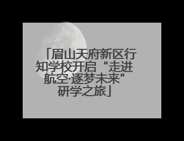 眉山天府新区行知学校开启“走进航空·逐梦未来”研学之旅