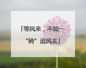 等风来，不如一“骑”追风去