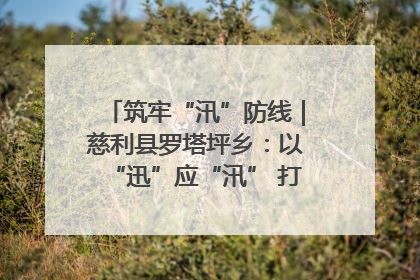 筑牢“汛”防线｜慈利县罗塔坪乡：以“迅”应“汛” 打赢暴雨防御战