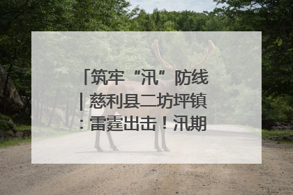 筑牢“汛”防线｜慈利县二坊坪镇：雷霆出击！汛期捕鱼被紧急叫停
