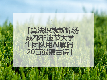 算法织就新锦绣 成都非遗节大学生团队用AI解码20首蜀锦古诗