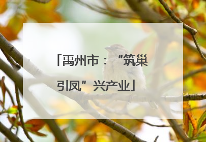 禹州市：“筑巢引凤”兴产业