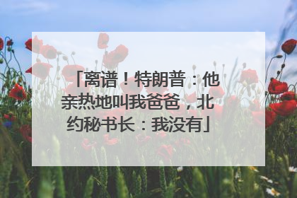 离谱！特朗普：他亲热地叫我爸爸，北约秘书长：我没有