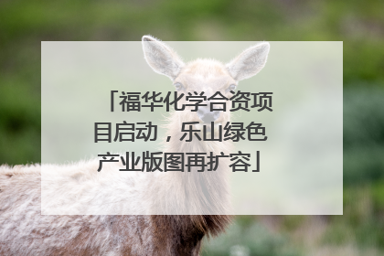 福华化学合资项目启动，乐山绿色产业版图再扩容