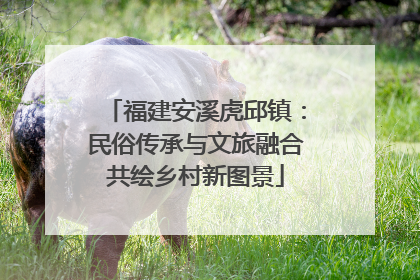 福建安溪虎邱镇：民俗传承与文旅融合共绘乡村新图景