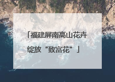 福建屏南高山花卉绽放“致富花”