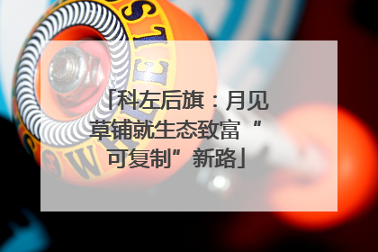 科左后旗：月见草铺就生态致富“可复制”新路