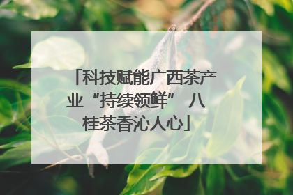 科技赋能广西茶产业“持续领鲜” 八桂茶香沁人心