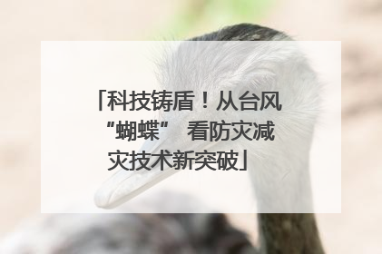 科技铸盾！从台风“蝴蝶” 看防灾减灾技术新突破