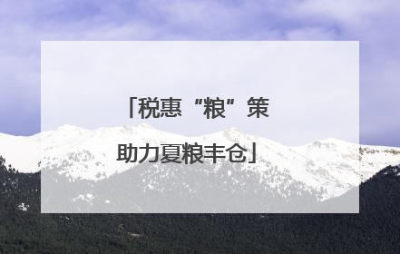 税惠“粮”策助力夏粮丰仓