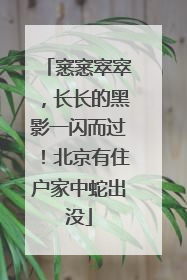 窸窸窣窣，长长的黑影一闪而过！北京有住户家中蛇出没