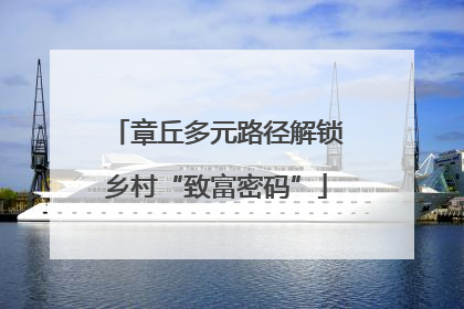 章丘多元路径解锁乡村“致富密码”