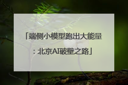 端侧小模型跑出大能量：北京AI破壁之路