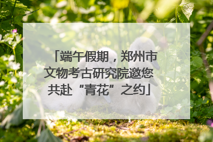 端午假期，郑州市文物考古研究院邀您共赴“青花”之约