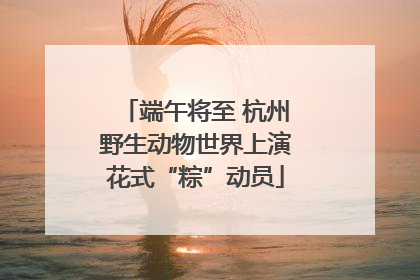 端午将至 杭州野生动物世界上演花式“粽”动员