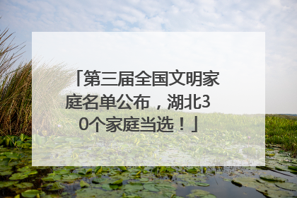 第三届全国文明家庭名单公布，湖北30个家庭当选！