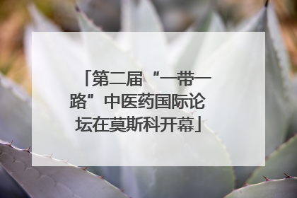 第二届“一带一路”中医药国际论坛在莫斯科开幕