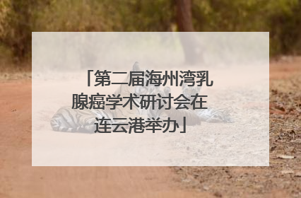 第二届海州湾乳腺癌学术研讨会在连云港举办