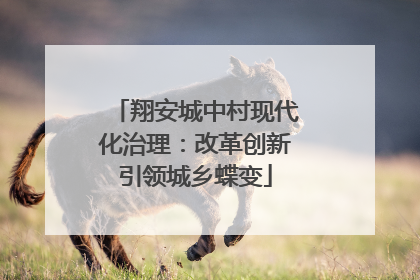 翔安城中村现代化治理：改革创新引领城乡蝶变