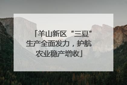 羊山新区“三夏”生产全面发力，护航农业稳产增收