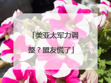 美亚太军力调整？盟友慌了
