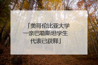 美哥伦比亚大学一亲巴勒斯坦学生代表已获释