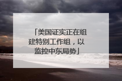美国证实正在组建特别工作组，以监控中东局势