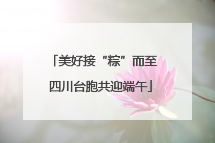美好接“粽”而至 四川台胞共迎端午
