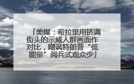 美媒：希拉里用挤满街头的示威人群画面作对比，嘲讽特朗普“低能量”阅兵式观众少