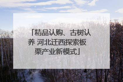 精品认购、古树认养 河北迁西探索板栗产业新模式