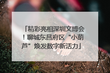 精彩亮相深圳文博会！聊城东昌府区“小葫芦”焕发数字新活力