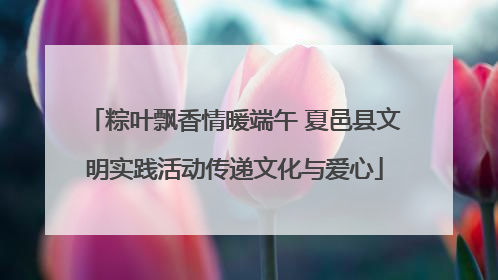 粽叶飘香情暖端午 夏邑县文明实践活动传递文化与爱心