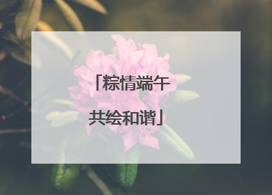 粽情端午 共绘和谐