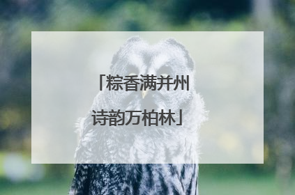 粽香满并州 诗韵万柏林