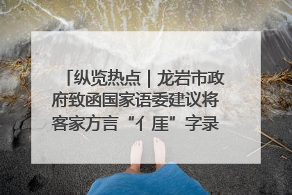 纵览热点｜龙岩市政府致函国家语委建议将客家方言“亻厓”字录入《新华字典》引发热议，当地回应