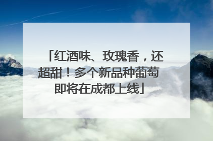 红酒味、玫瑰香，还超甜！多个新品种葡萄即将在成都上线