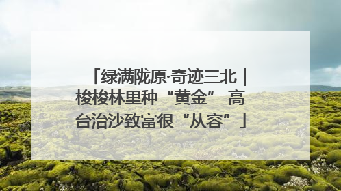 绿满陇原·奇迹三北｜梭梭林里种“黄金” 高台治沙致富很“从容”