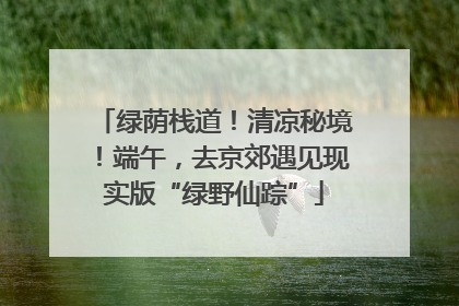 绿荫栈道！清凉秘境！端午，去京郊遇见现实版“绿野仙踪”