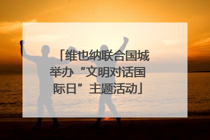 维也纳联合国城举办“文明对话国际日”主题活动