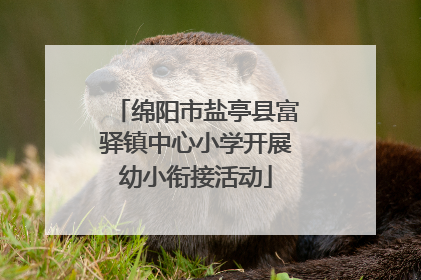 绵阳市盐亭县富驿镇中心小学开展幼小衔接活动