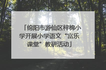 绵阳市游仙区梓棉小学开展小学语文“富乐课堂”教研活动