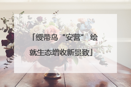 绶带鸟“安营” 绘就生态增收新景致