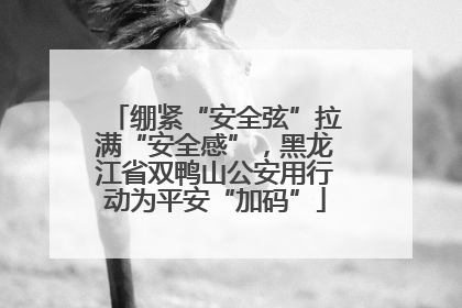 绷紧“安全弦”拉满“安全感”，黑龙江省双鸭山公安用行动为平安“加码”