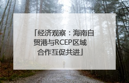 经济观察：海南自贸港与RCEP区域合作互促共进