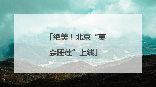绝美！北京“莫奈睡莲”上线