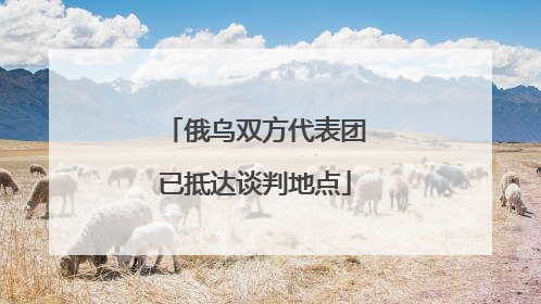 俄乌双方代表团已抵达谈判地点
