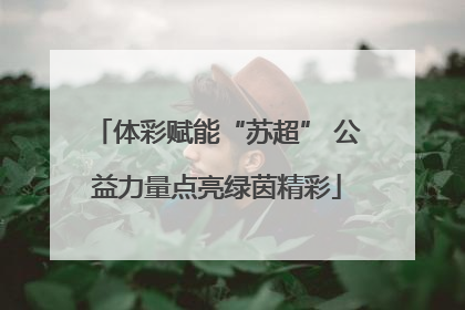 体彩赋能“苏超” 公益力量点亮绿茵精彩